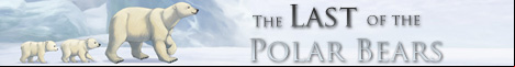 The Last of the Polar Bears